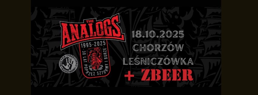 MUZYKA PRZECIWKO RASIZMOWI: THE ANALOGS W CHORZOWIE