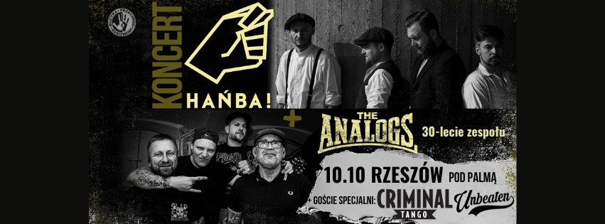 MUZYKA PRZECIWKO RASIZMOWI: THE ANALOGS I HAŃBA W RZESZOWIE