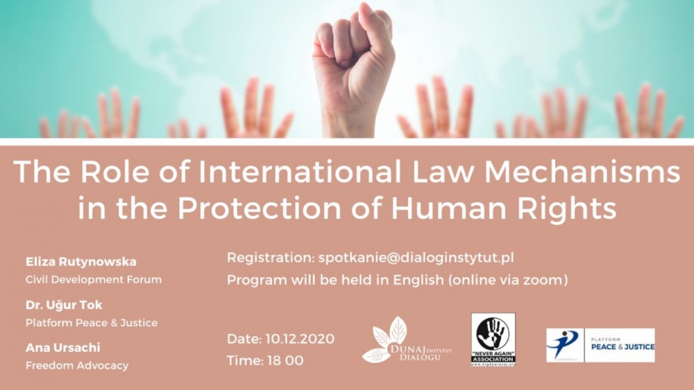 THE ROLE OF INTERNATIONAL LAW MECHANISMS IN THE PROTECTION OF HUMAN RIGHTS